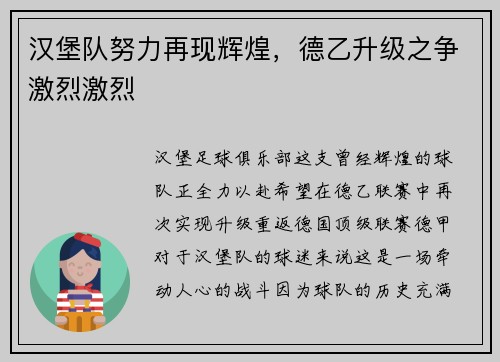 汉堡队努力再现辉煌，德乙升级之争激烈激烈